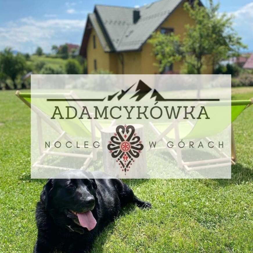 Apartamenty Adamcykowka Blisko Velo Czorsztyn! Kluszkowce Dış mekan fotoğraf