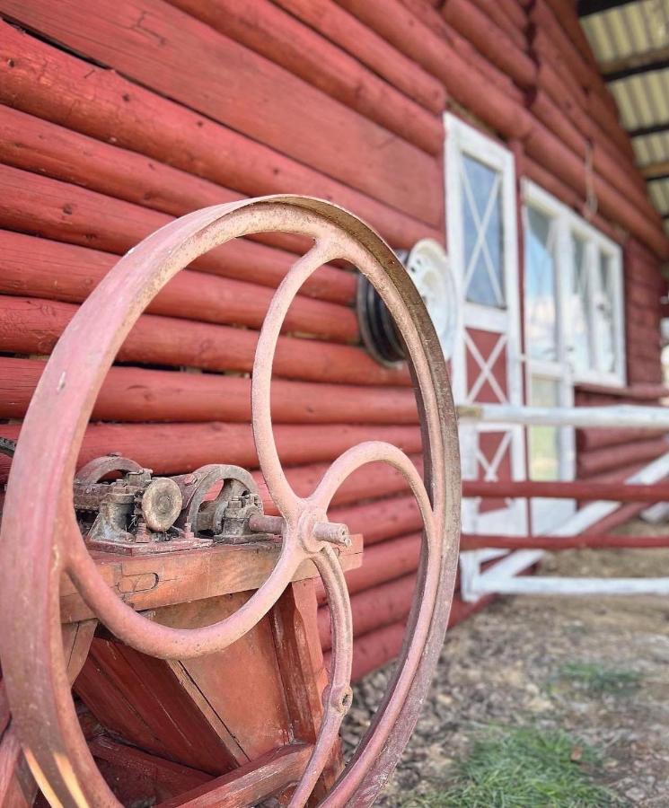 Apartamenty Adamcykowka Blisko Velo Czorsztyn! Kluszkowce Dış mekan fotoğraf