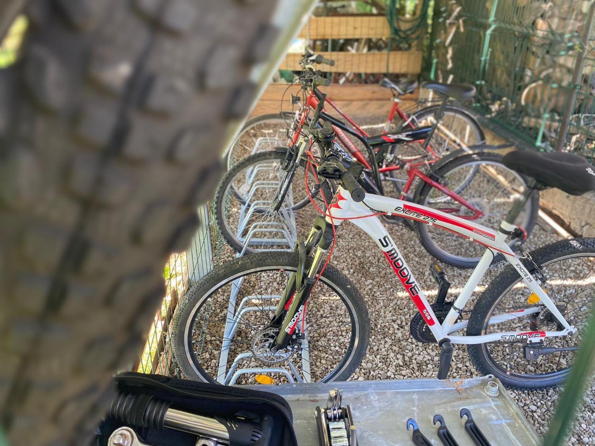 Apartamenty Adamcykowka Blisko Velo Czorsztyn! Kluszkowce Dış mekan fotoğraf