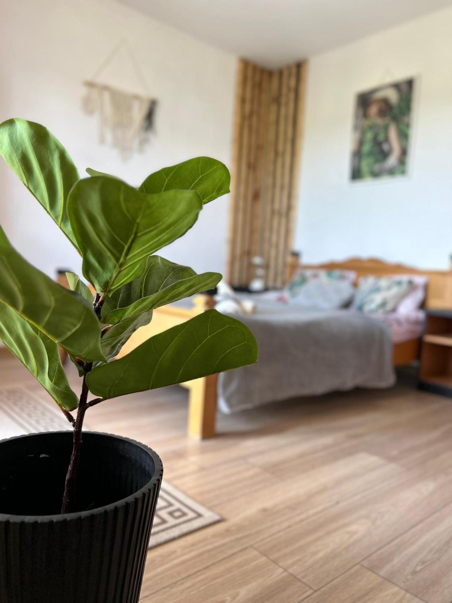 Apartamenty Adamcykowka Blisko Velo Czorsztyn! Kluszkowce Dış mekan fotoğraf